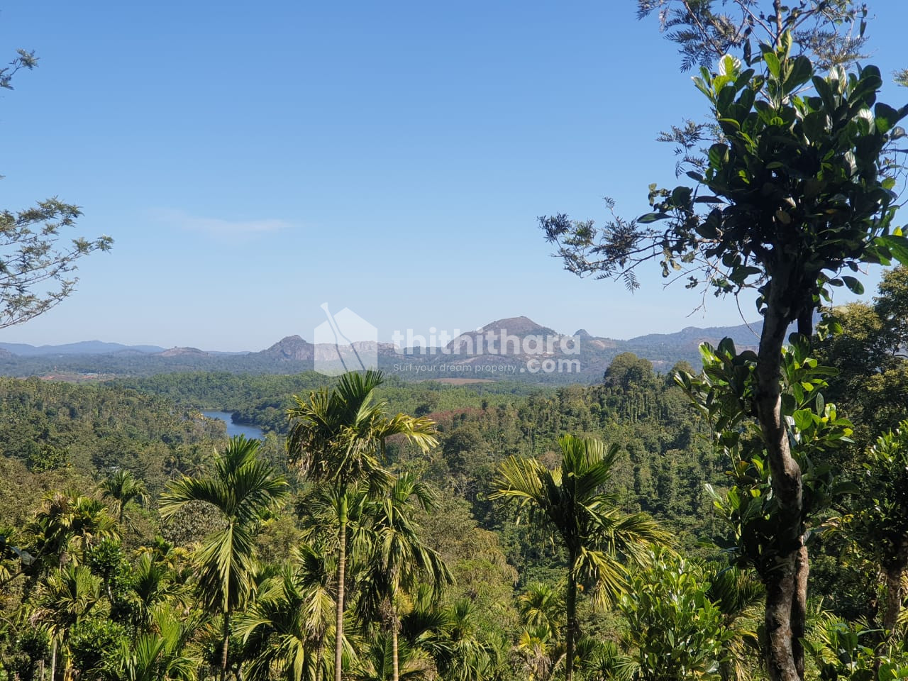 Sale! Land suitable for Resort/Villa/Farmhouse at Meppadi,Wayanad