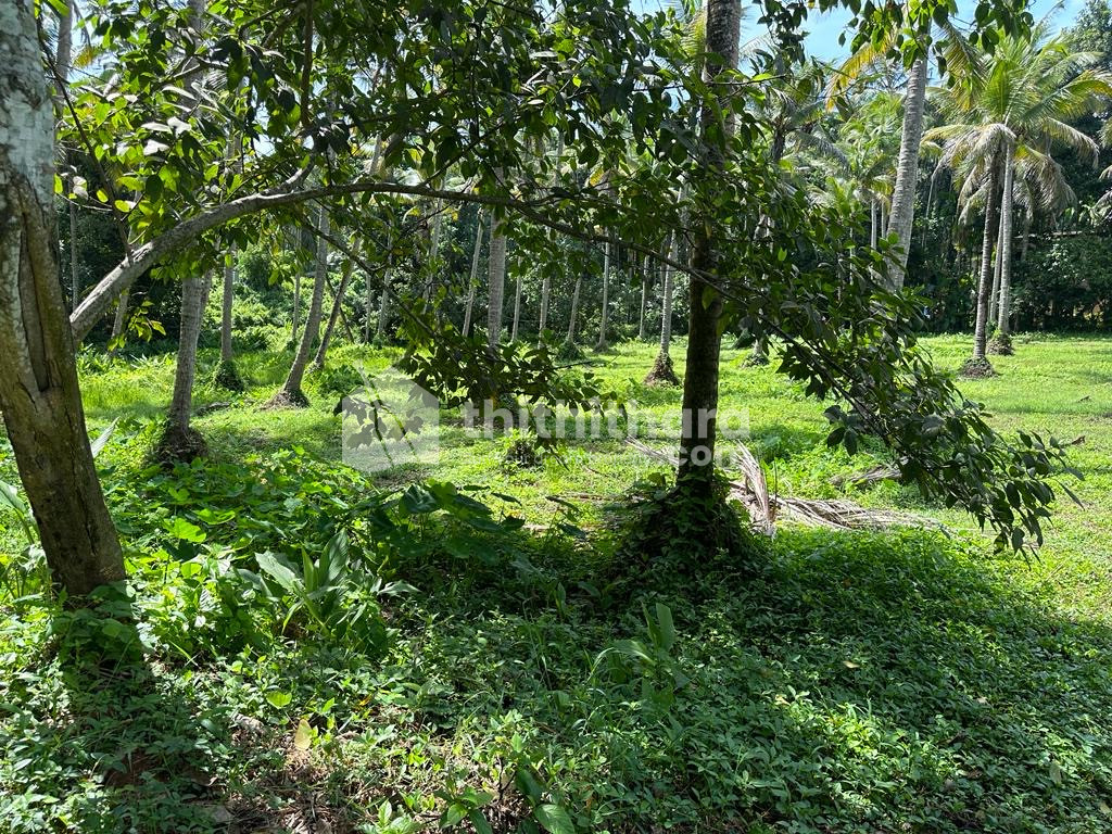 1 acre 5 cents land in School Pady, Tanur