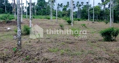 വയനാട് കണിയാമ്പറ്റ  1 ഏക്കർ സ്ഥലം വിൽപ്പനക്കു 