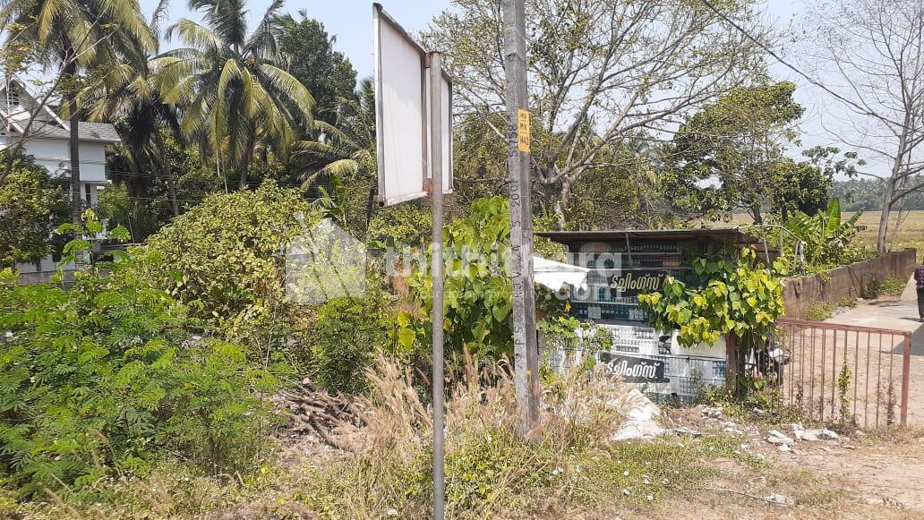 Land for sale in Mannuthy, Thrissur