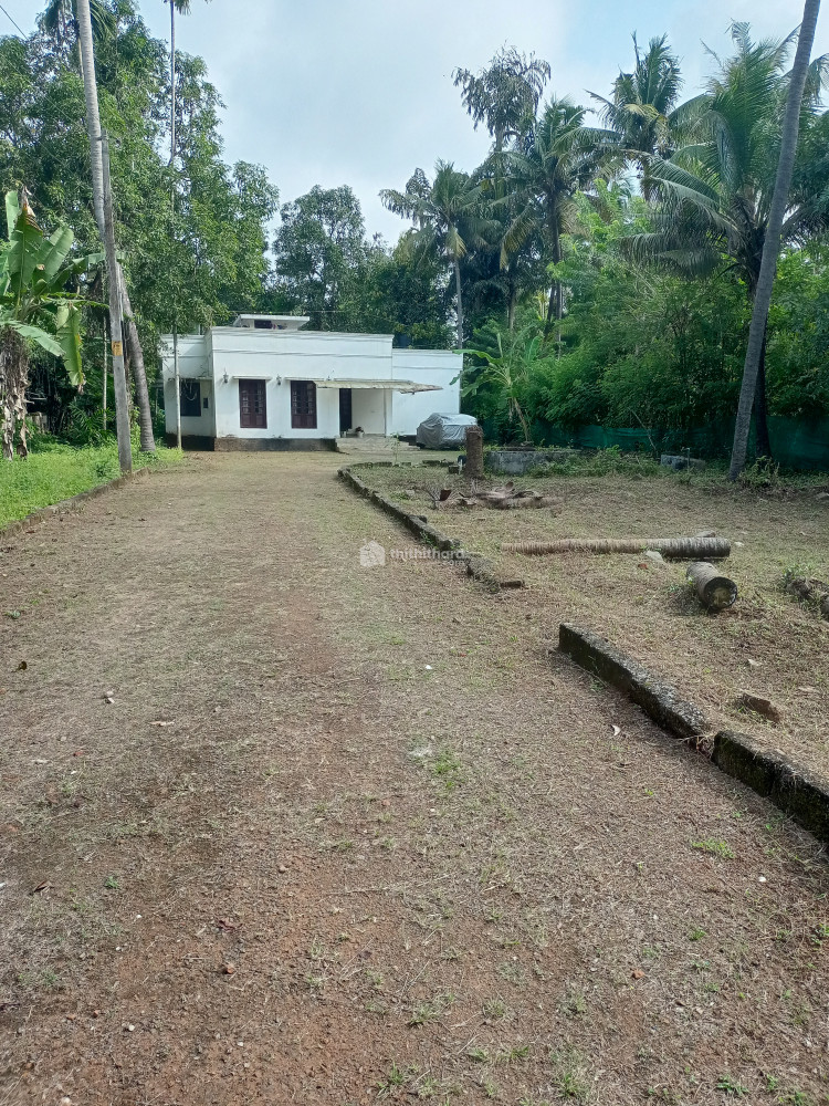 House with 34 cent land in Ettumana, Karuvannur, Thrissur