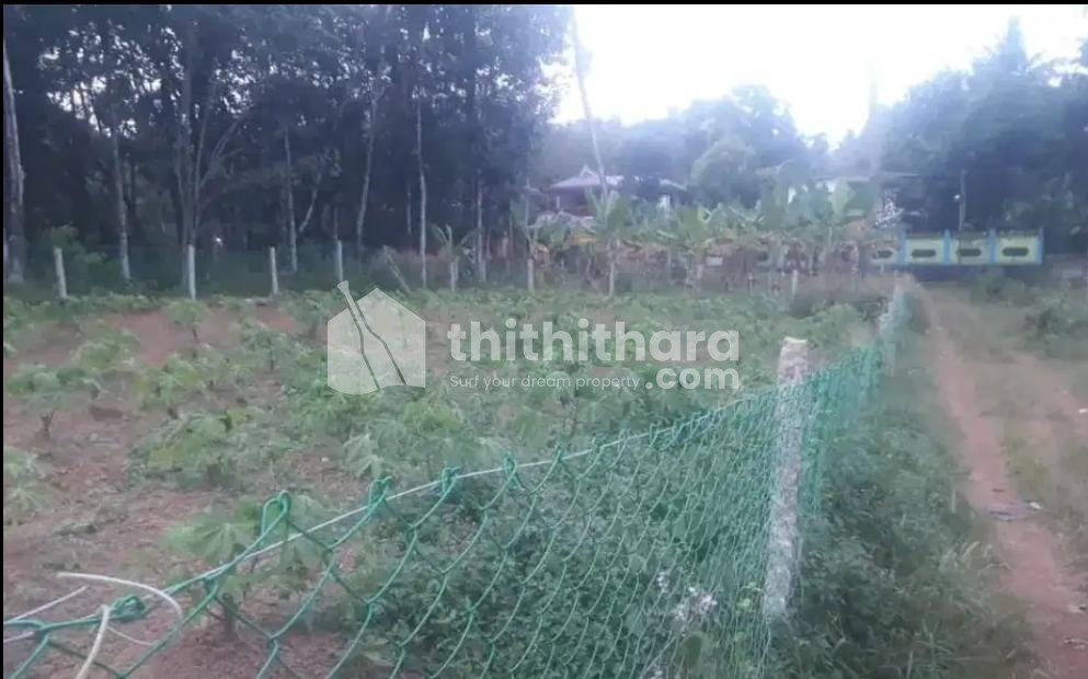 Land for Sale in Punalur, Kollam