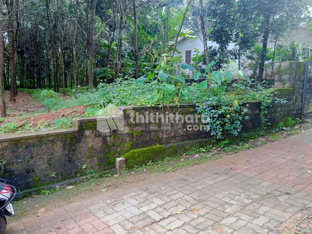 Land for Sale in Adoor , Pathanathitta