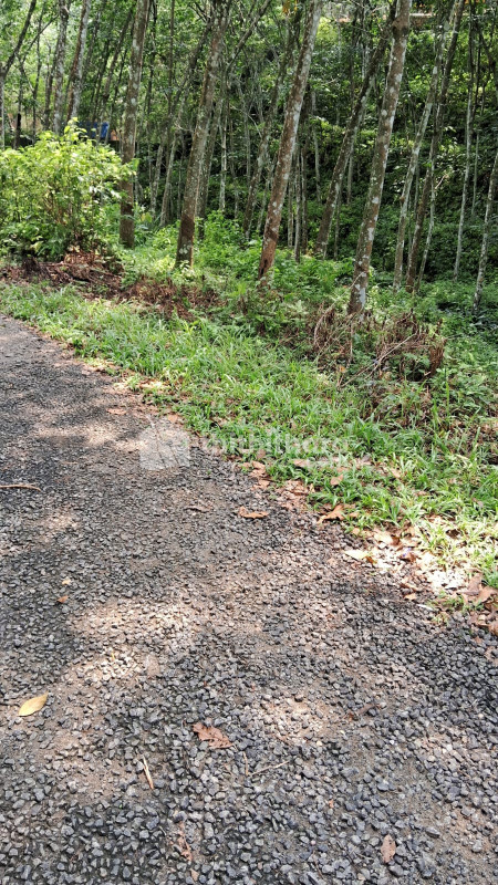 Land for Sale in Varyapuram , Pathanamthitta