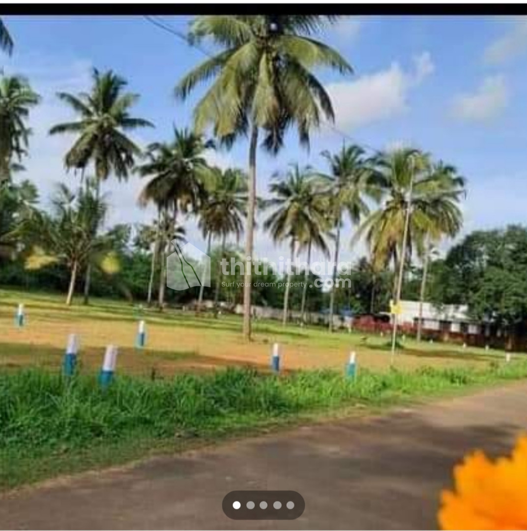 Residential plot for sale in Mundoor, Thrissur