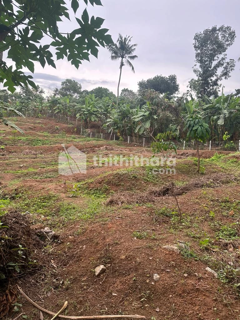Residential Land for Sale in  Attingal, Trivandrum
