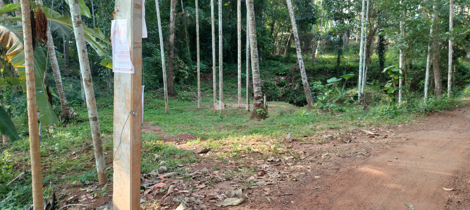 5.85 Cent Land with Panchayath road access and all facilities at Kavumpadi, Pallikkal Bazar.