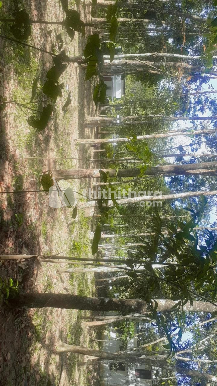 Land for Sale in Pallickal,kottarakkara,Kollam