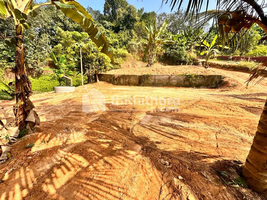 20 cent Land for Sale in Chenkottukonam, Trivandrum 