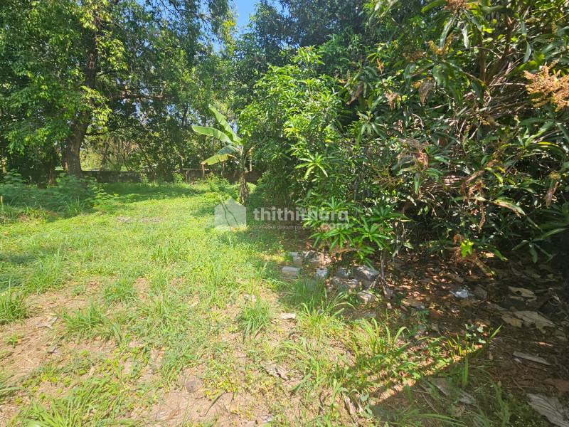 Residential Land for Sale in Chembukav