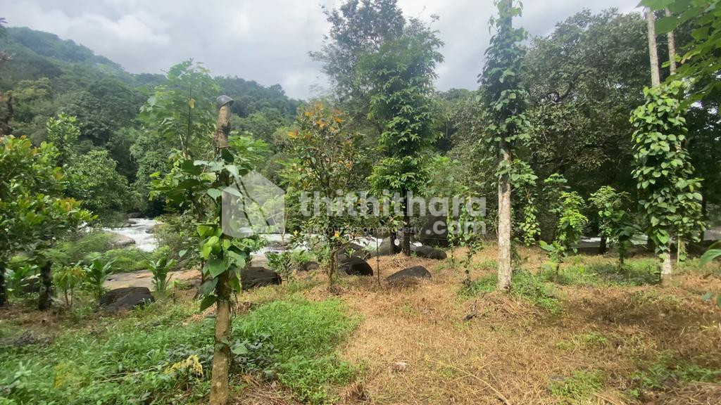 2 Acre Land for Sale in Kakkadampoyil-Kozhikode