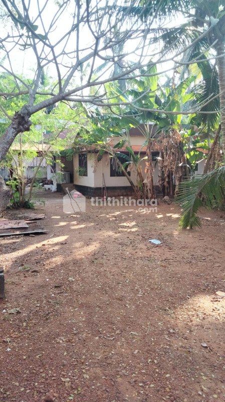 56 cent plot for sale near to NH, Parempadam, Kunnamkulam