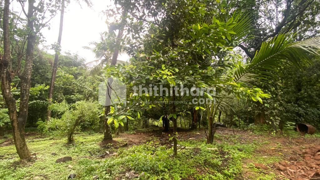 2 Acre Land for Sale in Kakkadampoyil-Kozhikode