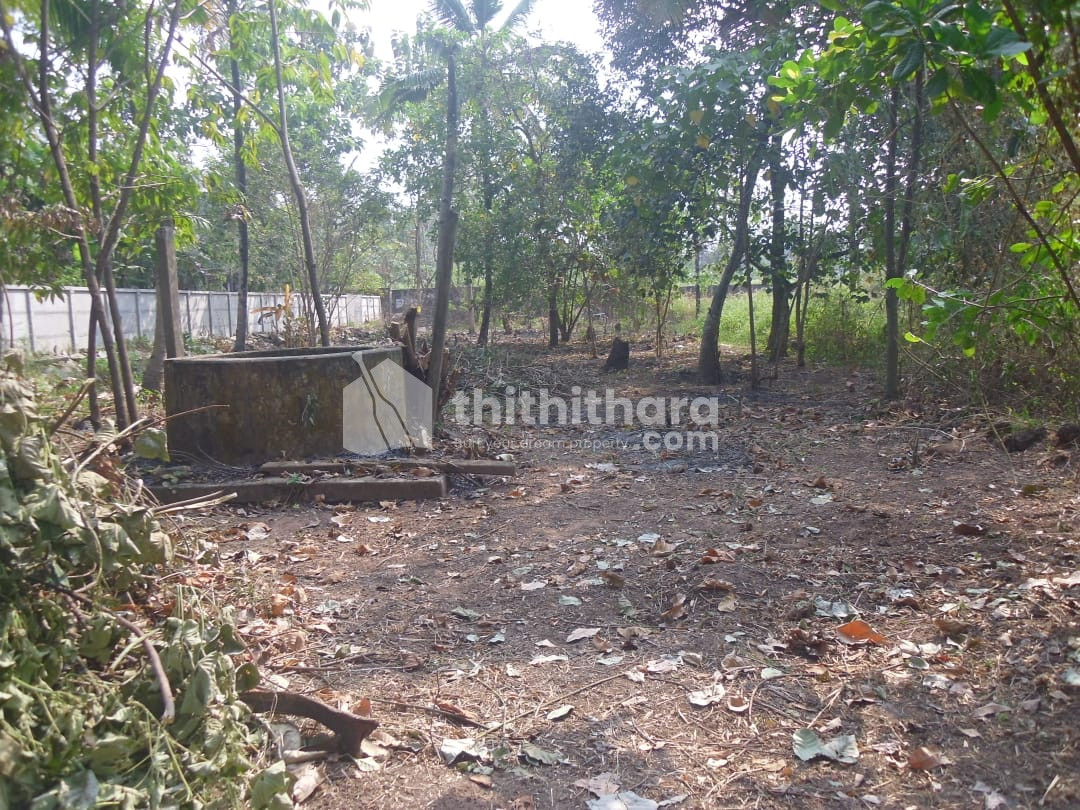 Residential land in the prime location at Kottiyam. Kollam 