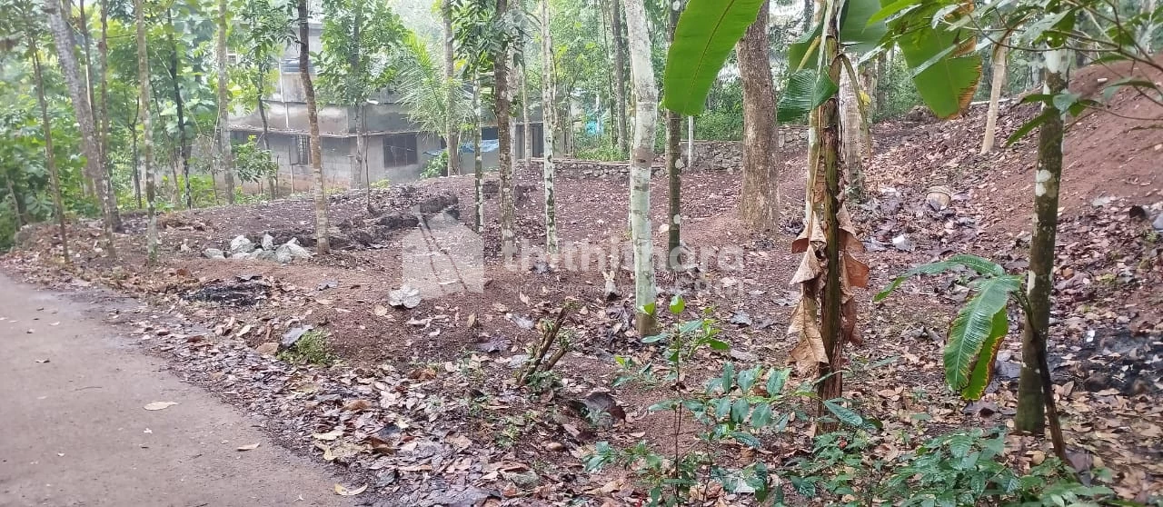 Plot for sale in Thembamood , Attingal