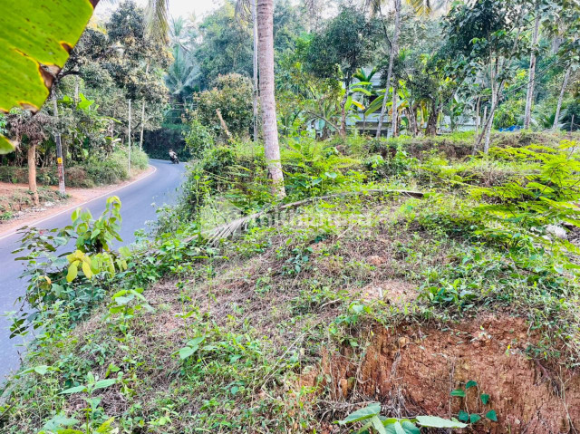 Residential Plot for Sale in Perambra, Kozhikode
