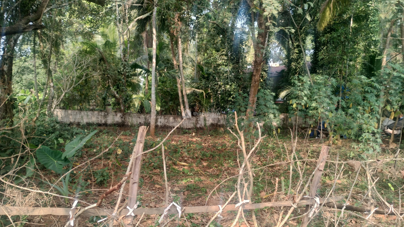 10.97 cens Residential Plot near Calicut University Engg College 