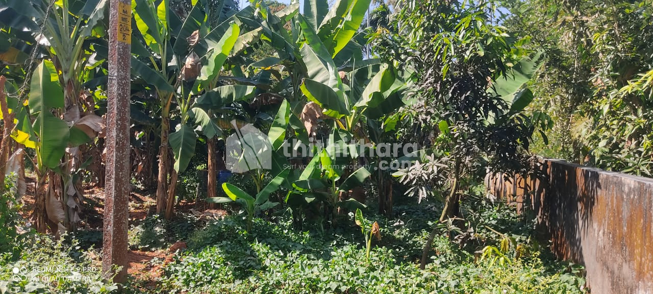 20 cents land on highway side for sale in Thannikkal, Mananthavady