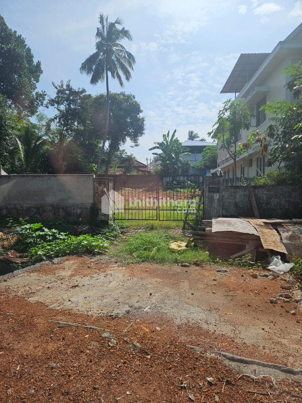 Commercial Plot for Sale near St. Thomas College, Thrissur