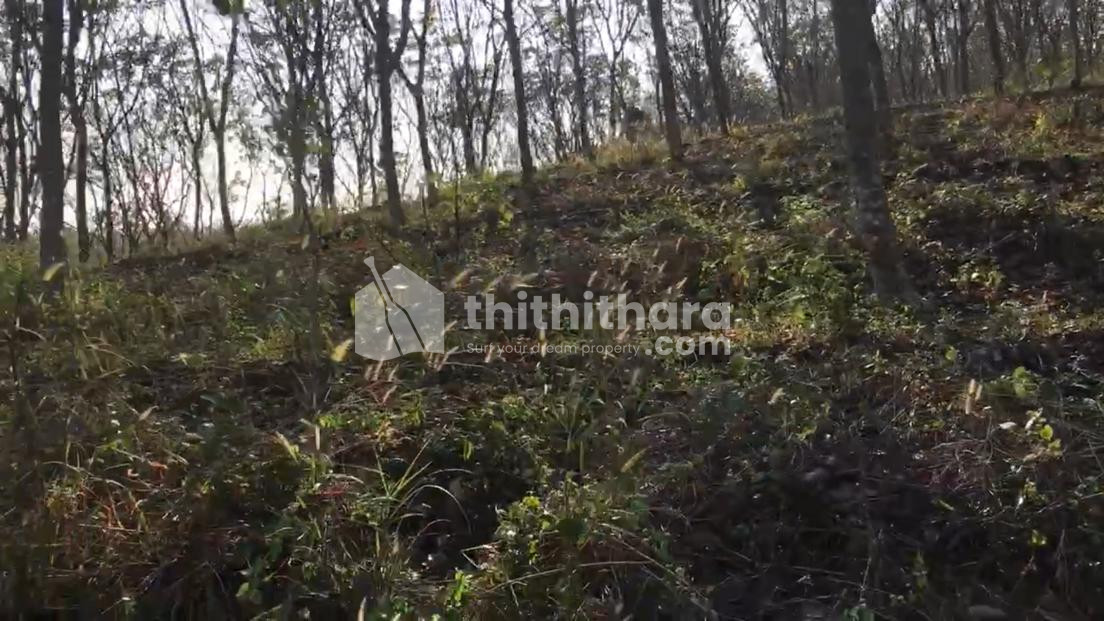 Land for Sale in Punalur, Kollam