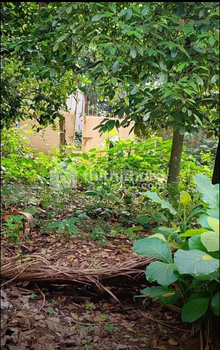 Residential Land for sale in Mala, Thrissur