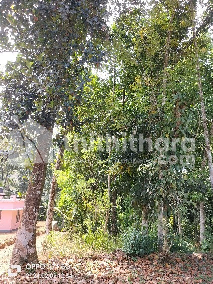 Residential Land for Sale in Neerattukav, Pathanamthitta