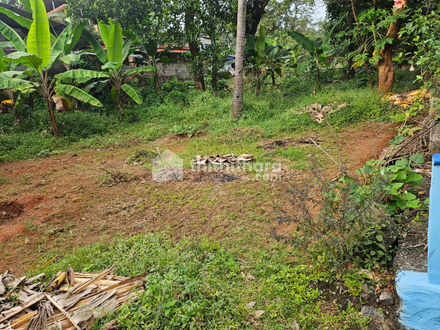  Residential Land for sale in Ayyanthole, Thrissur