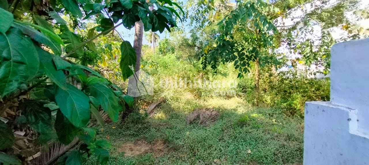 Residential Land for sale in Peringav, Thrissur