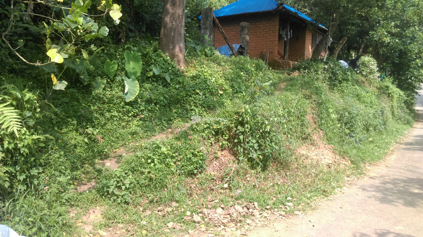 Tourism based area near munnar, Idukki
