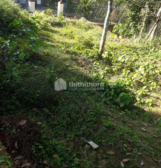 20 cent of land and an old house for sale at Keezhvaipur, Mallappally, Pathanamthitta, 