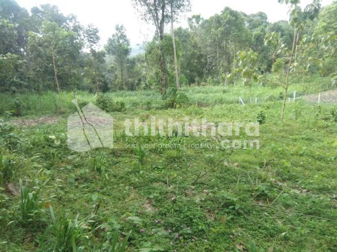 14 Cent plot in Thiruvananthapuram, Attingal, Near poikamuk junction