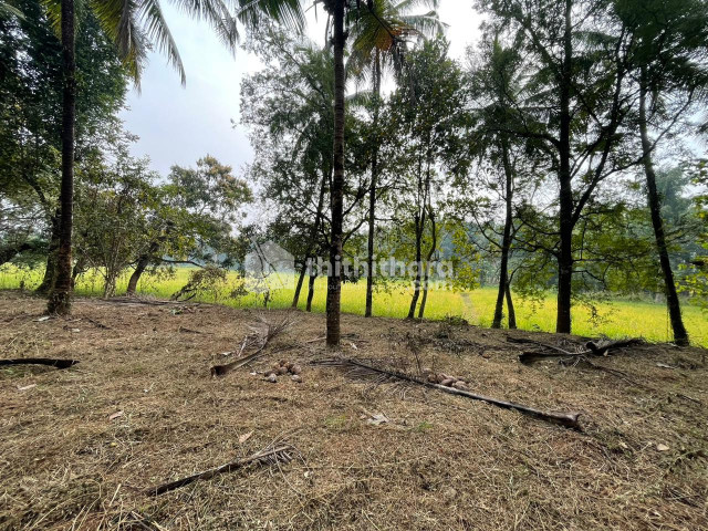 30 Cents House Plot for Sale in Kattipparuthi,Valanchery