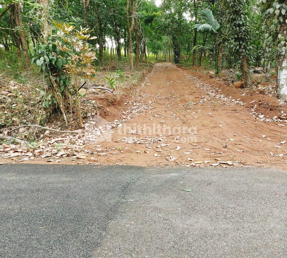 Agricultural land for sale at Payyannur Kannur