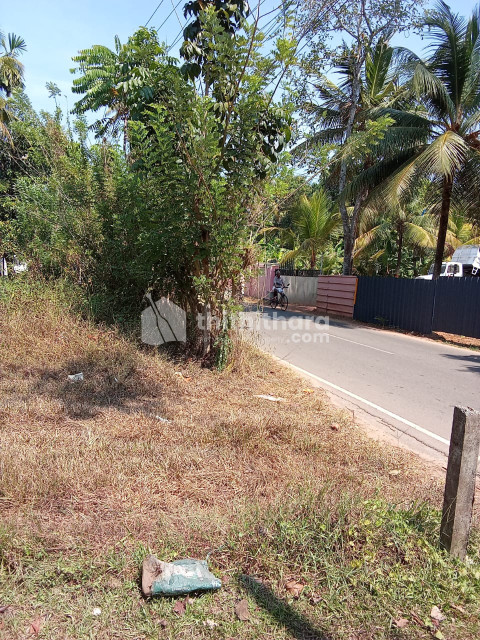 Land for Sale in Moothedathukavu, Kottaym