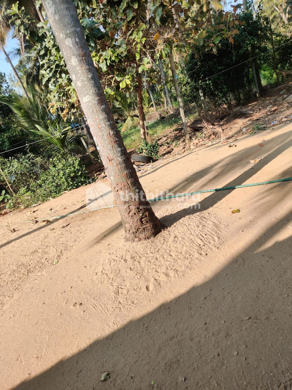 23 cent residential land with a small house for sale at Chittur Palakkad