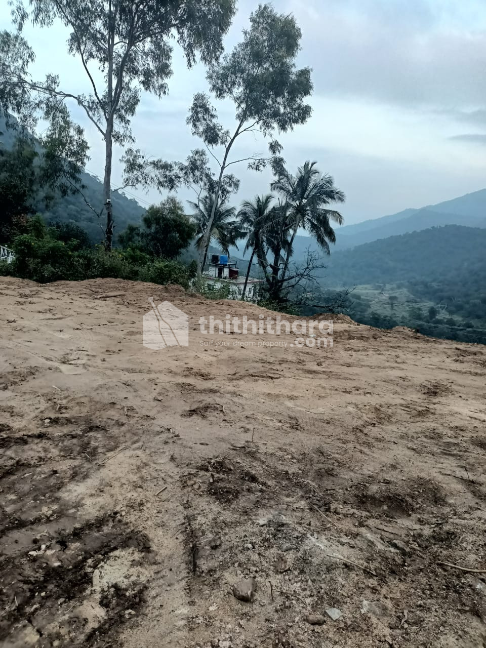 Land for Sale in Karimutti,Idukki