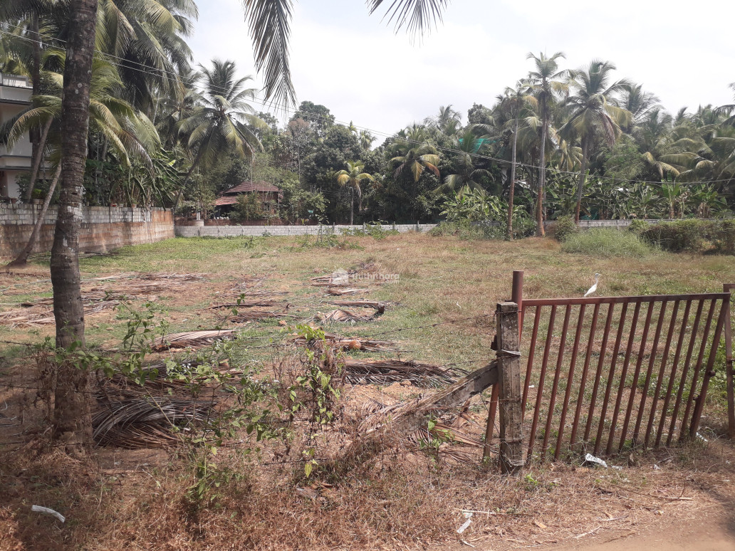 24 cent residential plot for sale at Ponnani Malappuram