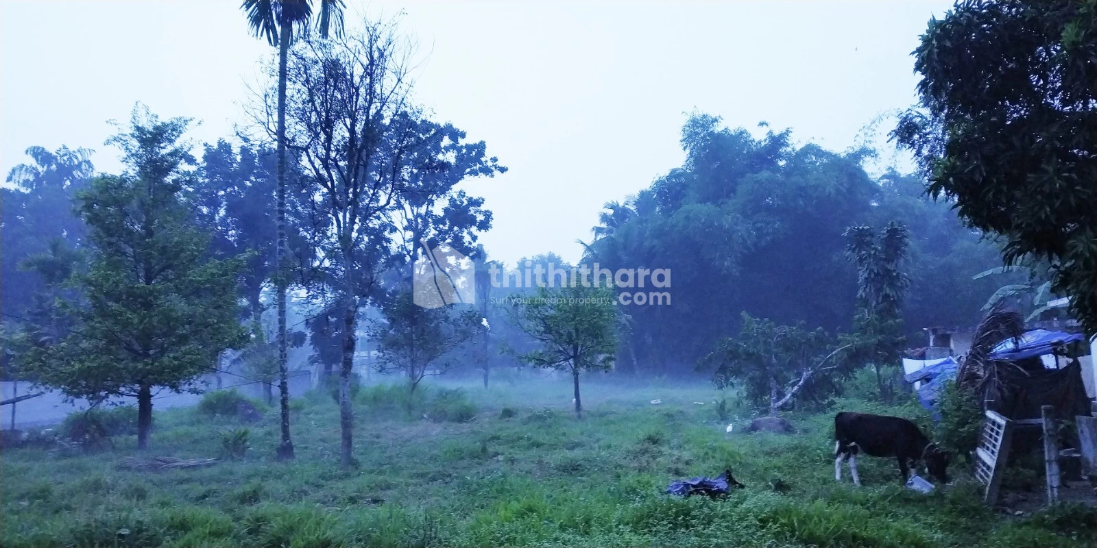 10 Cent residential land for sale at Aluva Ernakulam