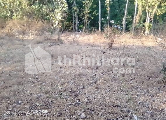 Land for Sale in Kalanjoor, Pathanamthitta