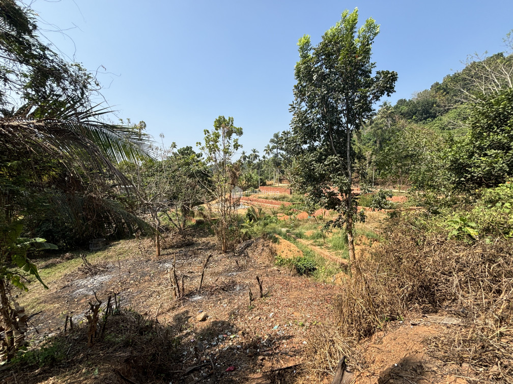 20 Cent residential land for sale at Manjeri ,Malappuram