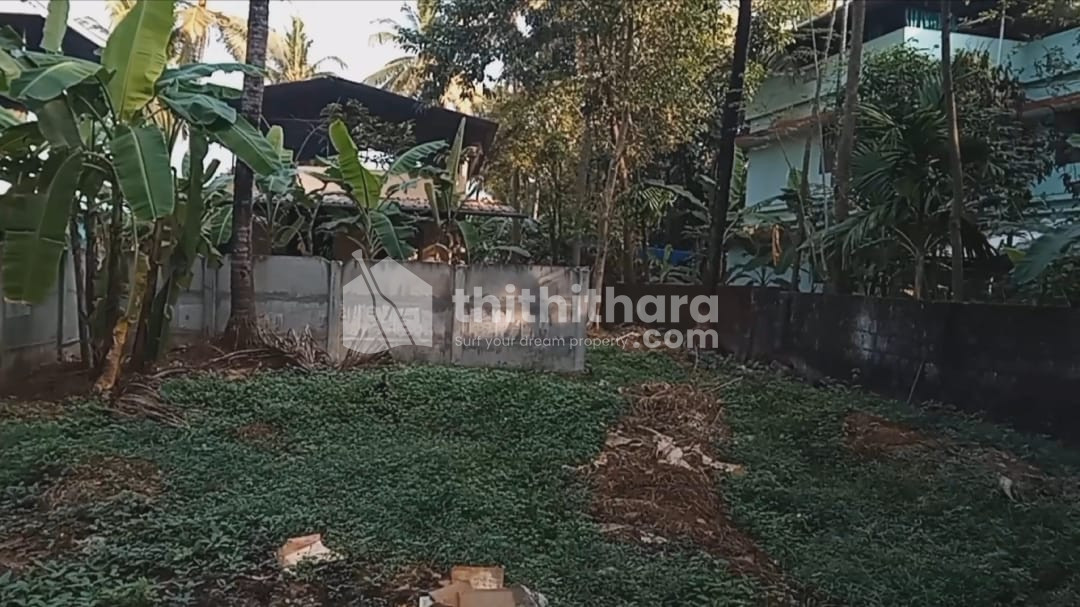 6 cent plot for sale at Olarikkara Thrissur