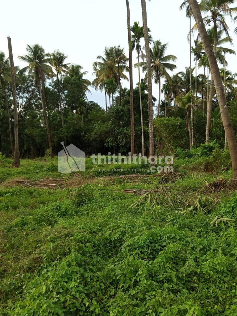 Agricultural land for sale at Puthukad Thrissur