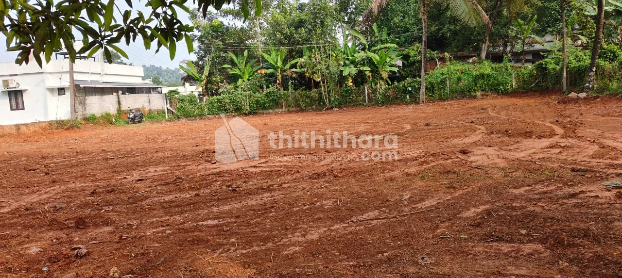 22 cent square plot near infopark Edachira Ernakulam