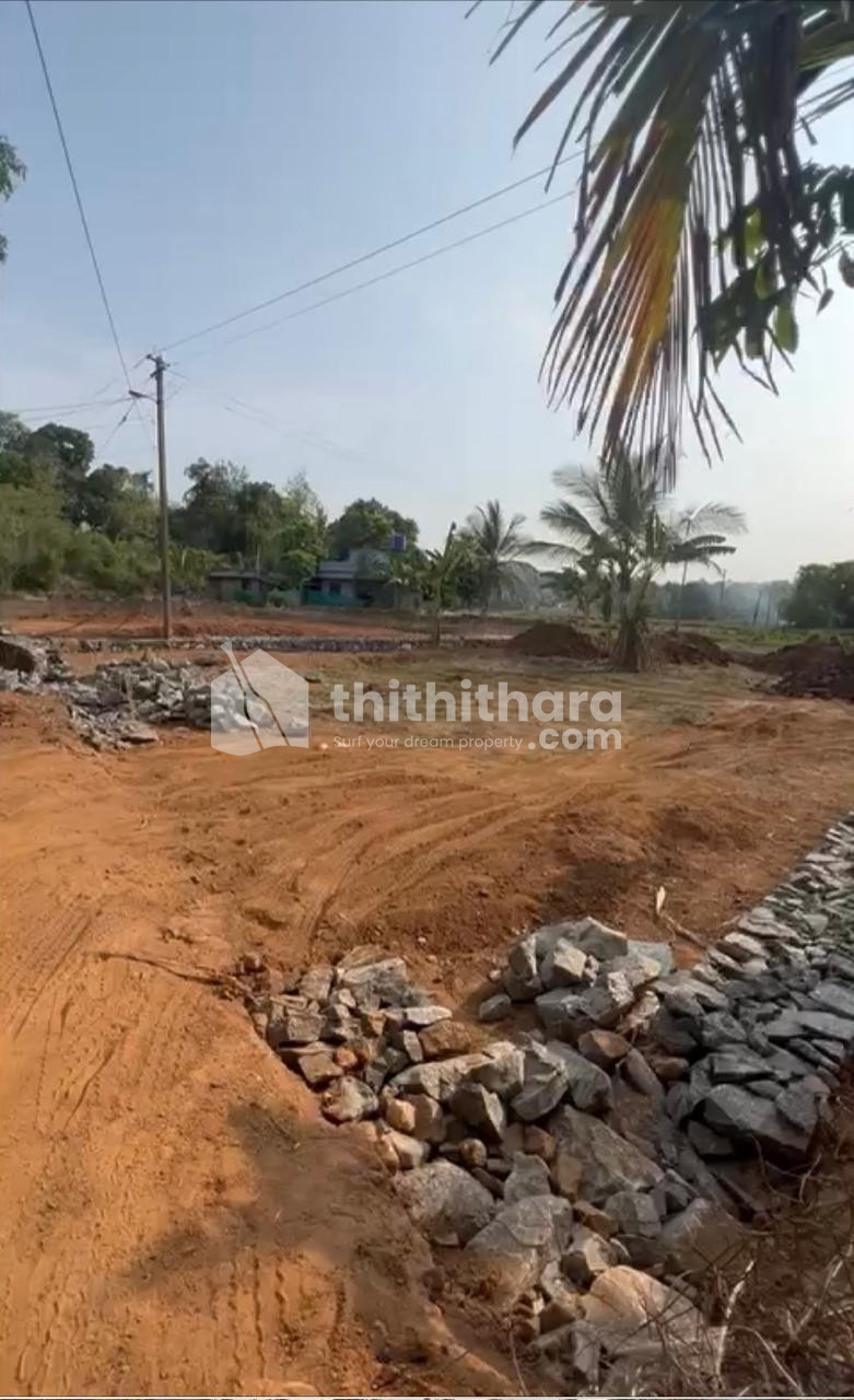 Land for Sale in Pilasserykara, Palakkad