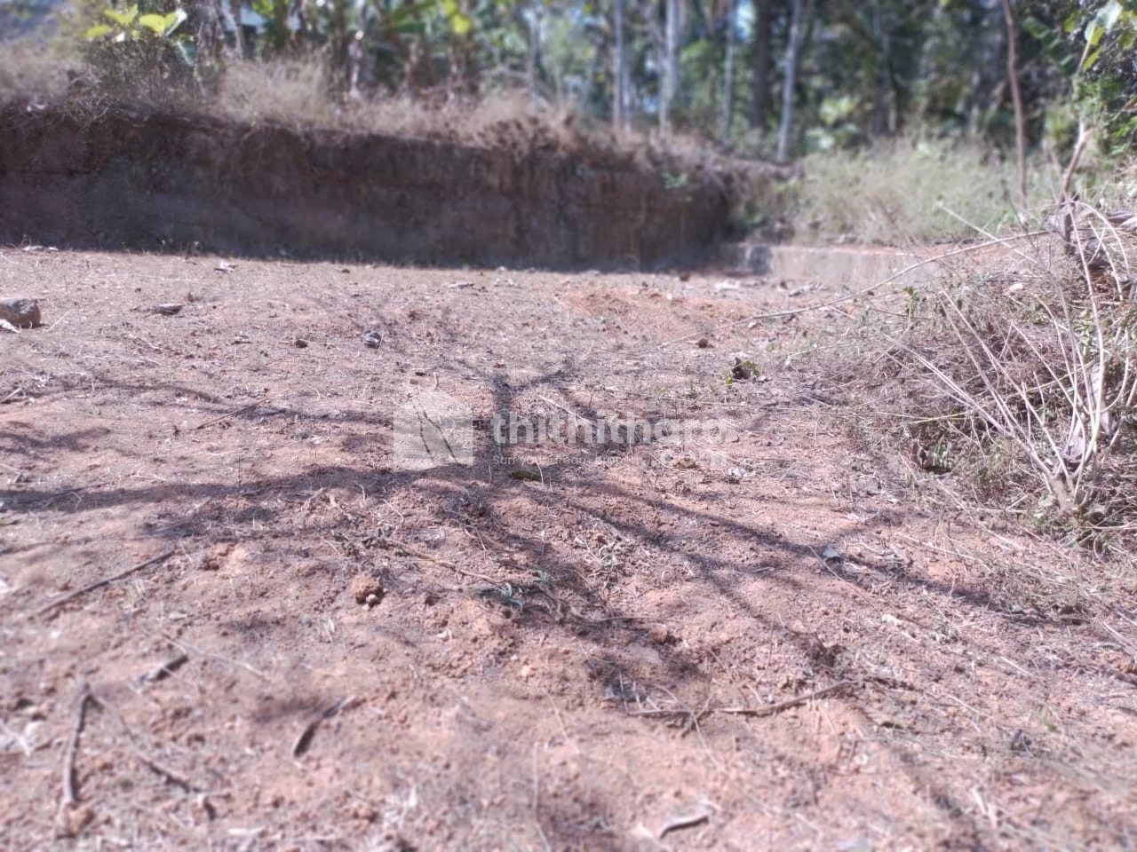 Land for Sale in Ookoodu, Trivandrum