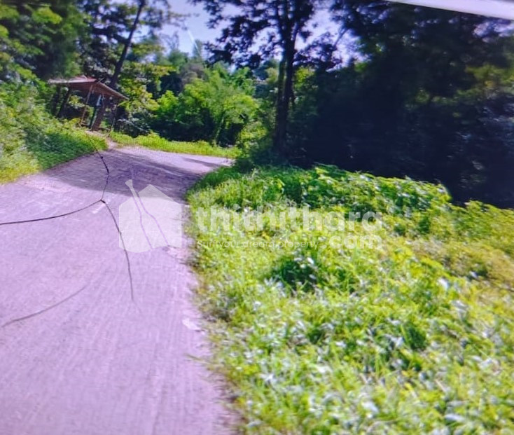 36 cent residential land for sale at Kinasseri Palakkad
