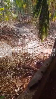 Residential land for sale at Cherpulassery Palakkad
