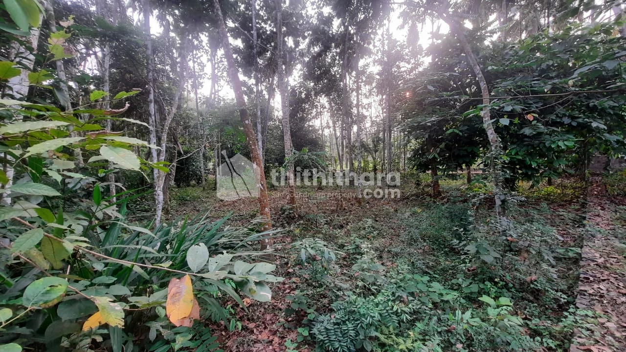 12.8 Cents of serene land for sale at Pambra Ernakulam