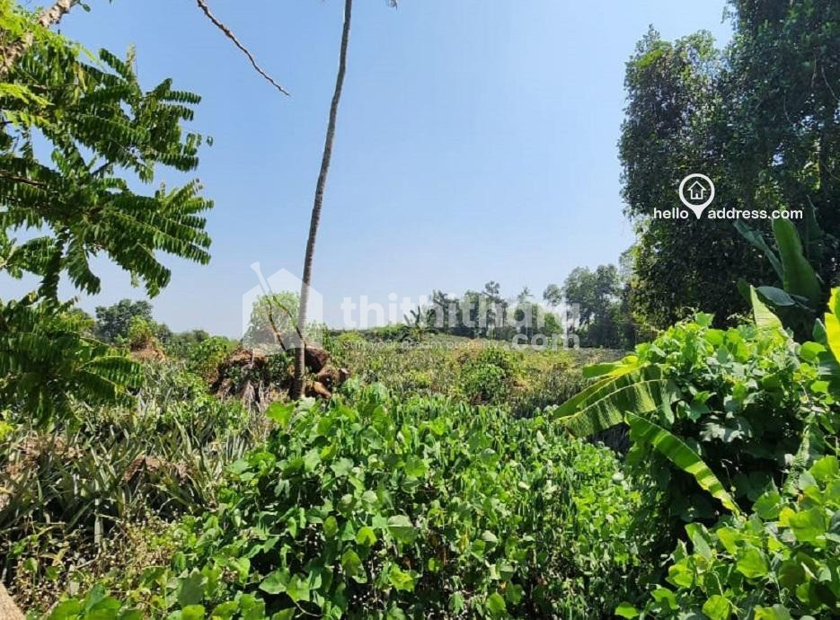 Residential land for sale at Pala Kottayam