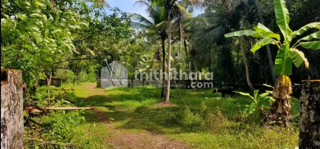 Residential plot for sale at Kulasekaramangalam Kottayam